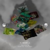 ANrose、十八重 - 坐鼎观天