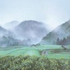 谢安心 - 我的一个道姑朋友