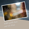 Relaxing Music for Stress Relief、Rain Sounds FX、The Calm Music Crew - The Rainy Night