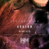 Stefan Addo、Sayinerr - Avalon (Sayinerr Remix)