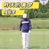 维斯李 - 昨天的美梦