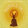 Alessio Patriarchi、Meditelectro - Sà Ni Dha Pa Ma