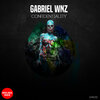 Gabriel Wnz - Confidentiality