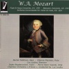 Etienne Plasman - Concerto for Flute and Harp in C Major, K. 299: I. Allegro