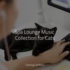 RelaxMyCat、Cat Music Dreams、Pet Care Music Therapy - Welness and Mindfulness