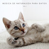 Música para gatos、Biblioteca de Música Para Mascotas、Relajacion - Jipi En La Naturaleza