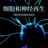 激活大脑音乐 - 愈合的频率