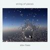 Alex Haas - In the Pocket