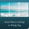 Ocean Sounds Plus、RelaxMyCat、Yoga Music Spa - Mediterranean Summer
