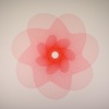 Foam and Sand、Robot Koch、Priscilla Ahn - Circle 28