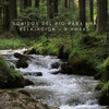 Meditación Trascendental、Sonidos de Cascadas、PAZ - Sonidos Del Río Para Una Relajación - 2 Horas