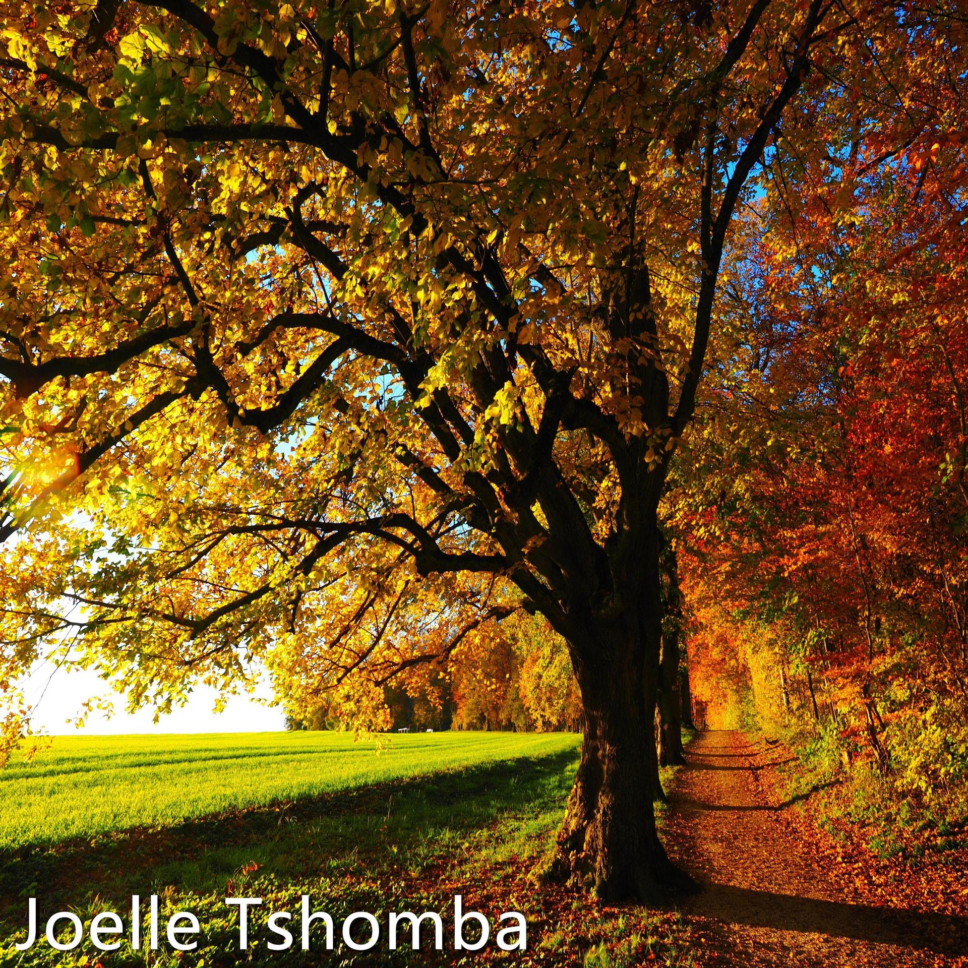 Joelle Tshomba - Blackbirds