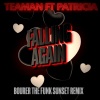 Teaman、Patricia - Falling Again (Bourer the Funk Sunset Remix)