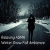 Nature on Record、Coffee House Classics、Binaural Bob - Relaxing ASMR Winter Snow Fall Ambience - 1 Hour