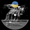 V.O.Y、Luckes《Hay Fever (Original Mix)》[MP3/LRC]