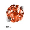 Deep Lark - Seer