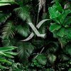 XL - ngl