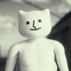 转世虚拟猫 - 白鸟