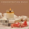 Calm Work Music、Brainwave Samples、Study Playlist《Concentration Music: Gentle Fire Sounds To Focus And Read《1 Hour》[MP3/LRC]