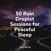 Tonal Meditation Collective、Sleep Songs with Nature Sounds、Relaxation Personal Guru - Nature, Cicadas, Birds
