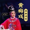 黄梅戏、相声曲艺大全 - 谁料皇榜中状元选段:女驸马