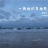 魏辰宇 - 一朝相识百相思 (DJ 国会鼓版)