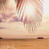 Lo$i、Malosi Kaimikaua - Let You Go