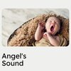 Bright Baby Lullabies - Bingo, Pt. 29