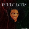 Steven C、Rjay、BabyBoyParis、Amakaa、Icelomo、Josh Dope、Soch Boywndr《Obidient Anthem (feat. Soch Boywndr Babyboyparis Steven C Icelomo Josh Dope & Amakaa)》[MP3/LRC]