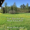 Mika Pohjola《Humid Around a Hundred》[MP3/LRC]