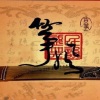 杨静蕾 - 渡红尘 (古筝)