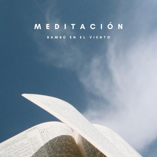 Música De Relajación Para Dormir Profundamente、Tranquilidad Eterna、Bosque Tropical - Relajación y Cambio