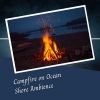 Moon Oceans、The Outdoor Library、Concentration Help《Campfire on Ocean Shore Ambience《1 Hour》[MP3/LRC]