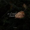 Sleep Sound of Nature、Namaste Yoga、Schlaflieder Relax - Forest, Rain, Birds, Winter