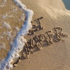 SealWu、FANTATA、66 Young wiz - LAST SUMMER
