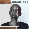 DJ Sbucardo、Mergs sk - The signature (feat. Mergs sk)