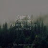 Yoga Workout Music、Deep Sleep Meditation、Mindfulness Mediation World - Moments of Peace
