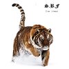 S.B.F the Great、Cold 187 - R U T H L E S S (1st Version)(Explicit)
