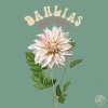 c e c e l i e、Desh - Dahlias