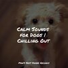 Music for Leaving Dogs Home Alone、Music for Dog's Ears、Relaxing Music for Dogs - Starting Today