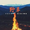 SealWu - 野草
