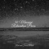 Musica para Massagem Especialistas、Mindfulness Mediation World、Relaxed Minds - Rain Shower Lullaby