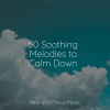 Deep Sleep Systems、Ambiente、Alpha Brain Waves - Longing