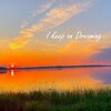 Tomme Lee、Aloe - Dreaming of You (feat. Aloe)