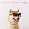 Spa Music For Dogs、Songs for Dogs to Sleep To、Cat Music Experience - Pets Relaxation Time: Calming Sounds Of Fire And Water - 3 Hours