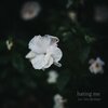 Bree Gonzalez、Julia Harriman - hating me (feat. Julia Harriman)