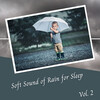 Music for Leaving Dogs Home Alone、SPA、Focus - Soft Sound of Rain for Sleep Vol. 2 - 2 Hours