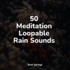 Sleep Lullabies for Newborn、Natural Nature Makers、Guided Meditation Music Zone《Rains Above》[MP3/LRC]