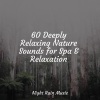 meditacou musica ambiente、Weather Factory、Oasis de Détente et Relaxation - LoFi Rain in the Shed