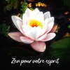 Ensemble de Musique Zen Relaxante - Joie de la création
